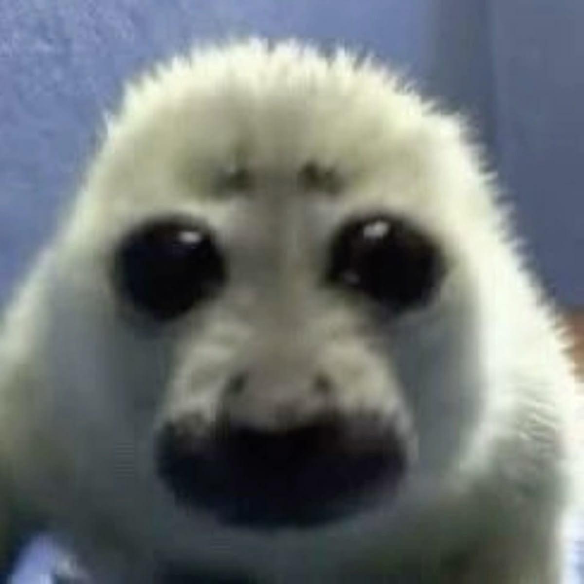 Why he lookin like that lol